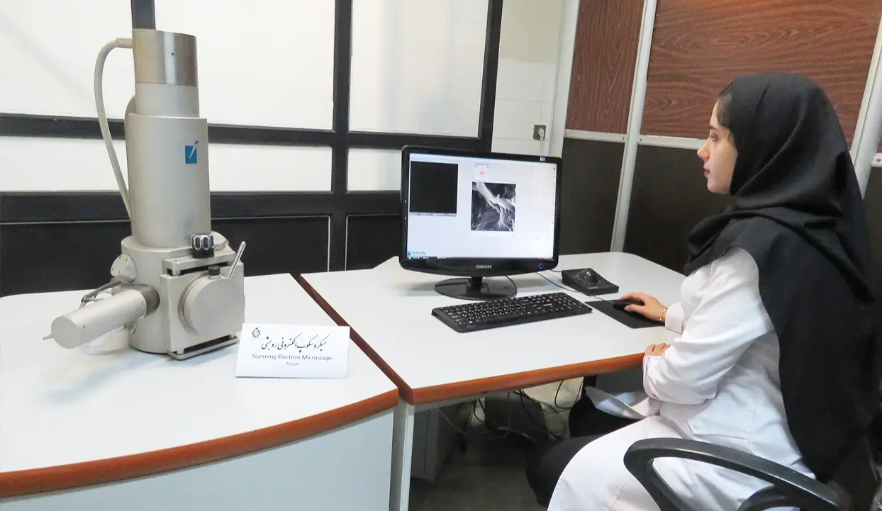 میکروسکوپ الکترونی روبشی (SEM)